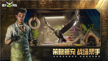 恶神火焰怎么用不了？可能的原因及解决方法解析