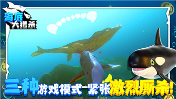 辐射岛的所有密码是什么？探索辐射岛中的密码与隐藏内容