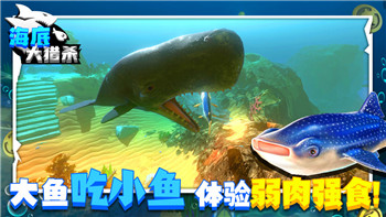 海贼无双4怎么两个人玩的-探索多人合作模式与技巧提升