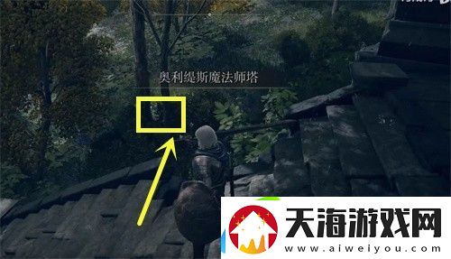 艾尔登法环三只睿智兽物在哪儿