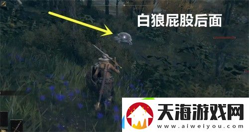 艾尔登法环三只睿智兽物在哪儿