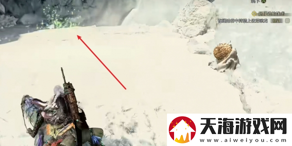 怪物猎人荒野冰雾断崖全营地在哪里介绍