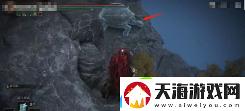艾尔登法环魔法菈妮的暗月获得位置