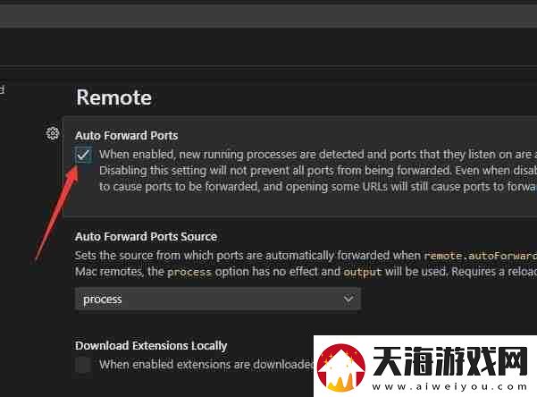 VSCode怎么开启自动转发端口